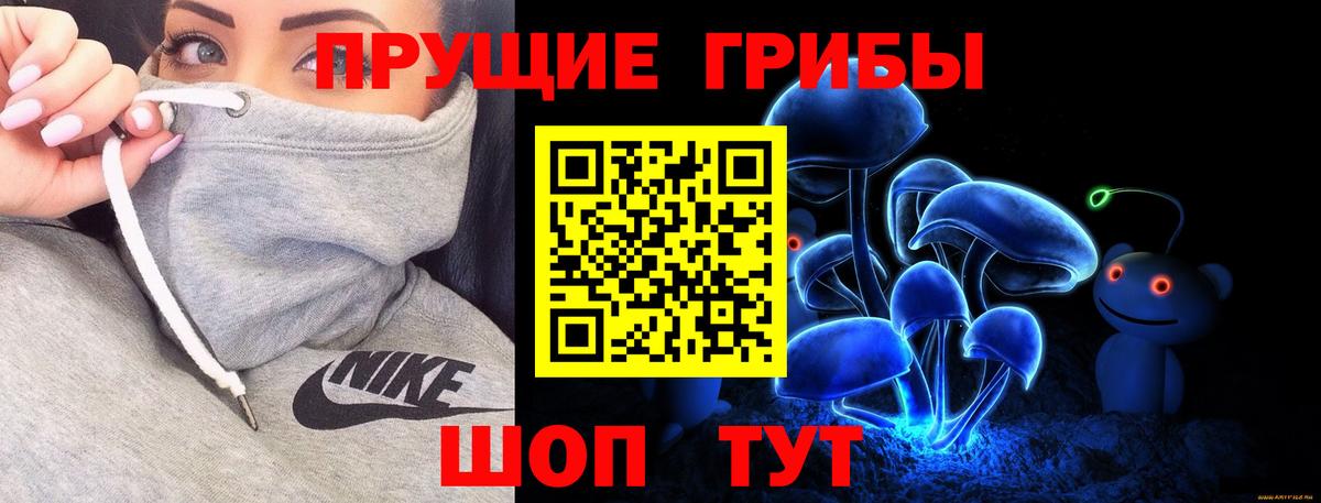 Псилоцибиновые грибы Psilocybine cubensis Екатеринбург